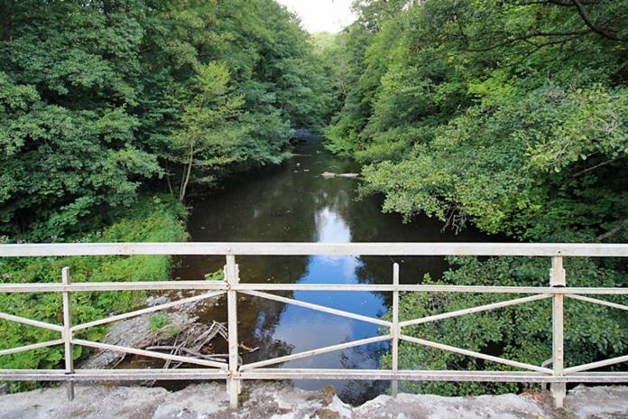 Ferienwohnungen Im Harz アルテンブラク エクステリア 写真
